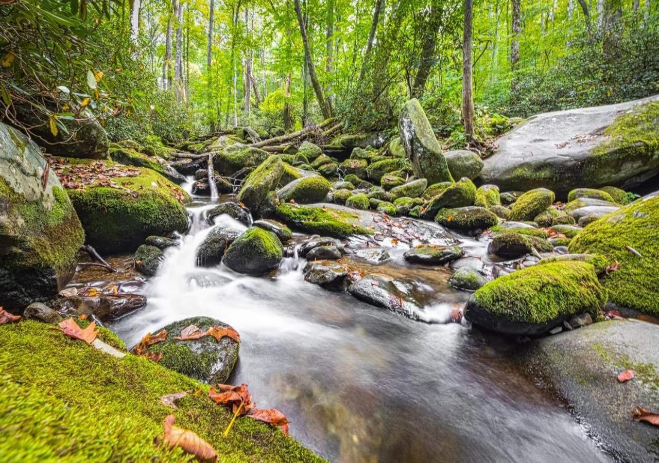 The Grand Orchard Lodge - Gatlinburg, Tn Экстерьер фото